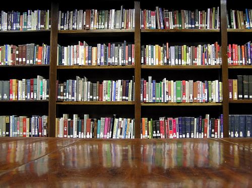 2009Nov2_libraryman_385279497_9d899d3845_b 2009Nov2_libraryman_385279497_9d899d3845_b