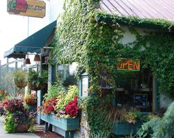Garden Center - JeffKorhan.com Garden Center - JeffKorhan.com