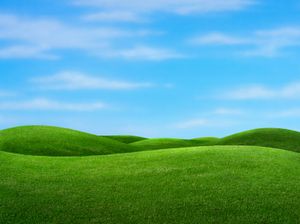 IStock_000003364362XSmall