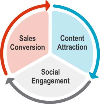 The Social Marketing Process