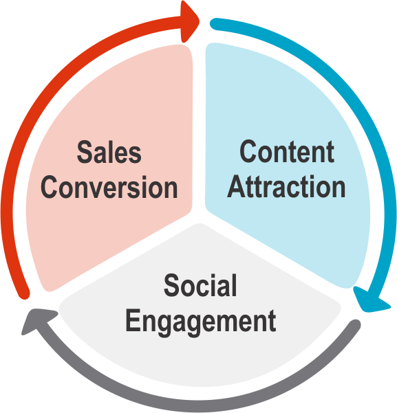 The Social Marketing Process